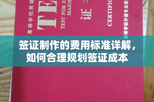 肃州签证制作的费用标准详解，如何合理规划签证成本
